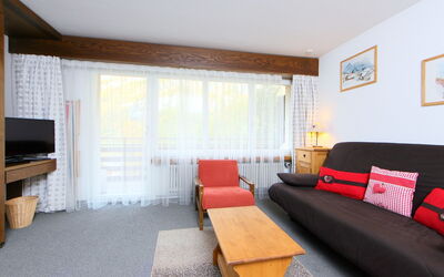 Accommodatie:&nbsp;Ringstrasse Apt 115 900.2