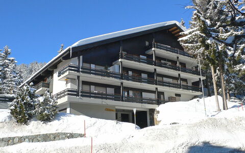 Crans-Montana 120: Sneeuw, Winter, Eigendom, Architectuur, Huis, Huis, Onroerend Goed, Gebouw, Appartement, Lucht