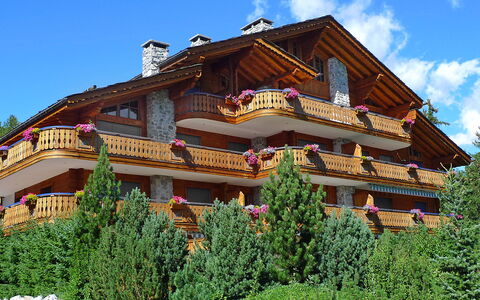 Résidence le Chalet 5: Lucht, Fabriek, Gebouw, Wolk, Venster, Boom, Huis, Vegetation, Hout