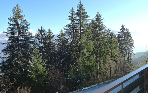 Yuca B Apt. 28: Boom, Sneeuw, Woody Plant, Evergreen, Wildernis, Lodgepolepijnboom, Natuurlijke Omgeving, Biome, Winter, Fabriek