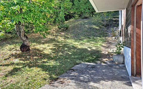 Yuca B Apt. 28: Gras, Groen, Struik, Tuin, Groundcover, Gazon, Gang, Backyard
