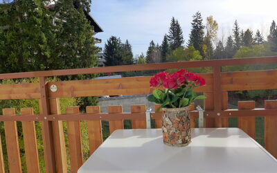 Accommodatie:&nbsp;Barzettes-Vacances B 455 Entrée N°16 450.11
