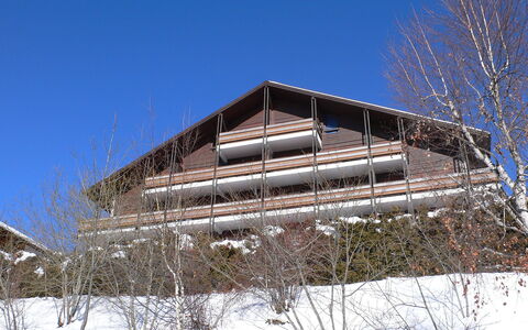 San Giorgio a 12: Lucht, Gebouw, Fabriek, Boom, Helling, Takje, Sneeuw, Huis, Hout, Rechthoek