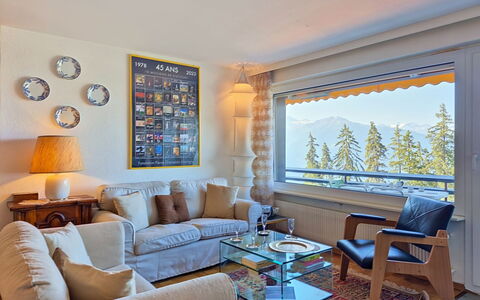 Accommodatie:&nbsp;Cransalpin Apt. 25 Secteur 1 530.22