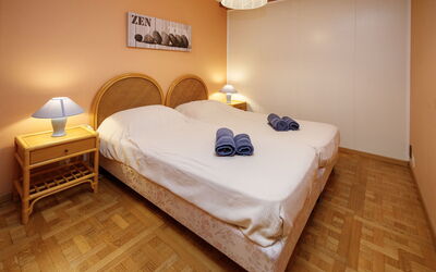 Accommodatie:&nbsp;Terrasse des Alpes 708 760.17