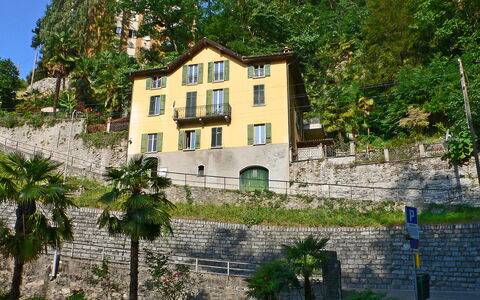 Tazzino