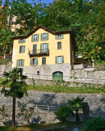 Tazzino
