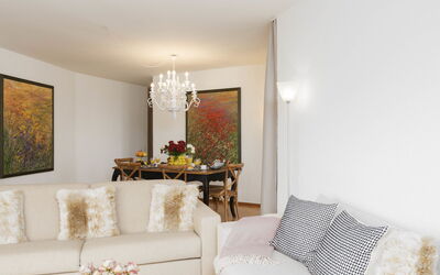Accommodatie:&nbsp;Suite Modern 250.17