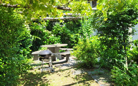 Stellina del Sole: Struik, Meubilair, Tafel, Plantengemeenschap, Tuin, Buitentafel, Buitenmeubels, Schaduw, De Lente, Stoel