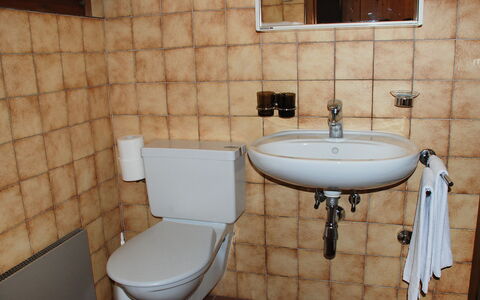 Breganzona 100: Badkamer, Toilet, Eigendom, Loodgieterswerkinrichting, Muur, Kraan, Kamer, Tegel, Wc Bril, Badkamer Accessoire