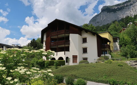 Flims 200: Wolk, Fabriek, Lucht, Gebouw, Venster, Berg, Bloem, Huis, Boom, Natuurlijk Landschap