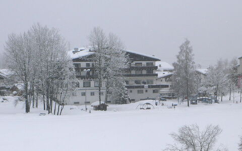 Apt. 13: Sneeuw, Winter, Wit, Freezing, Boom, Atmosferisch Fenomeen, Huis, Sneeuwstorm, Huis