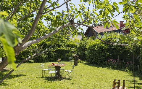 Blanca: Meubilair, Zee, Stoel, Schaduw, Balkon, Buitenmeubels, Eco Hotel, Kust, Dek, Beits
