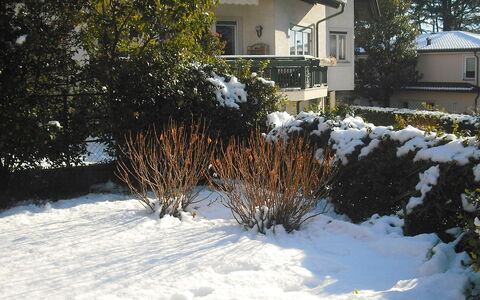 Villa Esperia: Sneeuw, Winter, Huis, Eigendom, Freezing, Huis, Boom, Werf, Onroerend Goed, Gras