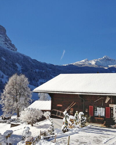 Grindelwald 255