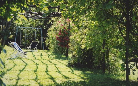 La Cenerara: Groen, Natuur, Boom, Gras, Tuin, Gazon, Zonlicht, Blad, Plantkunde, De Lente
