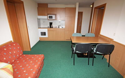 Accommodatie:&nbsp;Köfels 350.2