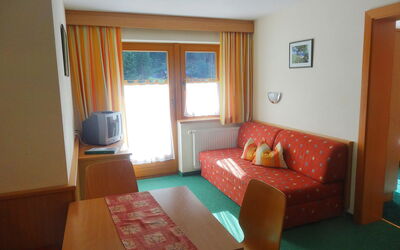 Accommodatie:&nbsp;Köfels 350.2