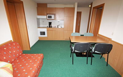 Accommodatie:&nbsp;Köfels 350.4