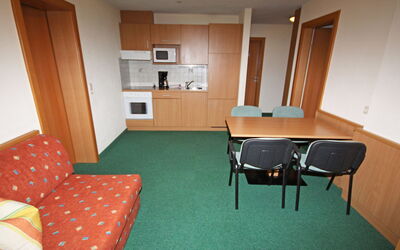 Accommodatie:&nbsp;Köfels 350.5