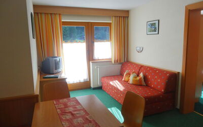 Accommodatie:&nbsp;Köfels 350.5