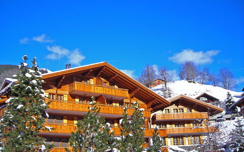 Grindelwald 260: Lucht, Wolk, Gebouw, Venster, Sneeuw, Blauw, Huis, Afdeling, Boom, Helling