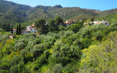La Rectoria Ii