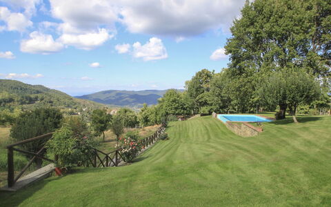 Greve in Chianti 840: Wolk, Lucht, Fabriek, Berg, Natuurlijk Landschap, Boom, Land Lot, Gras, Landschap, Grasland
