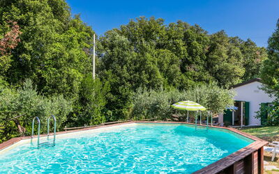 Podere Gli Olivi - Rosignano Marittimo, Toscane, Italië