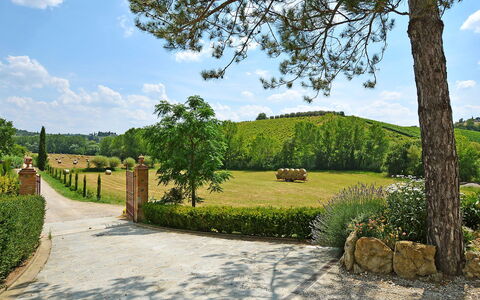 Il Vallone: Natuur, Eigendom, Boom, Lucht, Gras, Onroerend Goed, Tuin, Landgoed, Plantkunde, Huis
