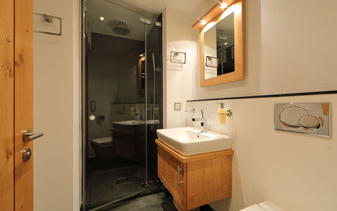 Zermatt 470: Badkamer, Kamer, Eigendom, Badkamerkast, Loodgieterswerkinrichting, Wastafel, Interieur Ontwerp, Badkamer Accessoire, Meubilair, Verlichting