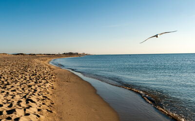 Canet-Plage 310
