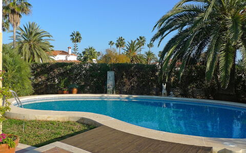 El Paradiso: Zwembad, Eigendom, Onroerend Goed, Huis, Huis, Vakantie, Backyard, Palmboom, Boom, Toevlucht