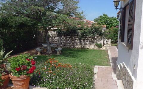 El Paradiso: Eigendom, Werf, Tuin, Huis, Onroerend Goed, Backyard, Huis, Woongebied, Gebouw, Landschap