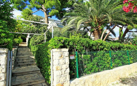 Amiela: Vegetation, Eigendom, Boom, Muur, Gang, Plantkunde, Onroerend Goed, Tuin, Fabriek, Huis