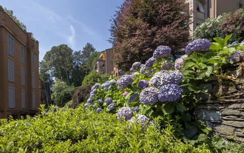 Residenza del Pascià: Groen, Blad, Vegetation, Struik, Plantengemeenschap, Tuin, Groundcover, De Lente, Landscaping, Condominium