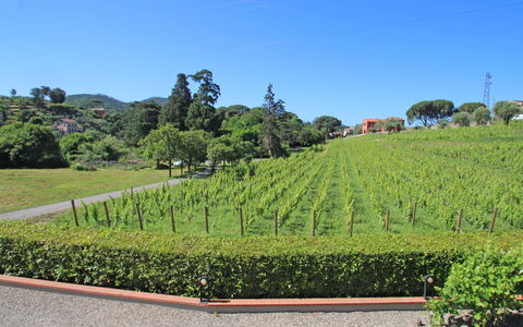 Sestri Levante 200: Lucht, Plantage, Struik, Wildernis, Hoogland, Heuvel Station, Tuin, Plantkunde, Gras, Land Lot