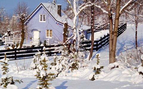 Niebieski: Gebouw, Sneeuw, Fabriek, Venster, Lucht, Takje, Huis, Afdeling, Natuurlijk Landschap, Architectuur