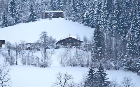 Oberhaslach: Sneeuw, Winter, Boom, Freezing, Atmosferisch Fenomeen, Vorst, Heuvel Station, Huis, Geologisch Fenomeen