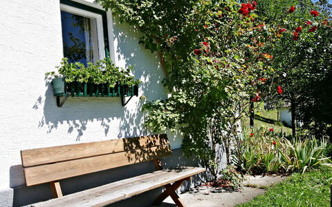 Oberhaslach: Bank, Bloem, Fabriek, Meubilair, Plantkunde, Boom, Huis, Tafel, Openluchtbank, Tuin
