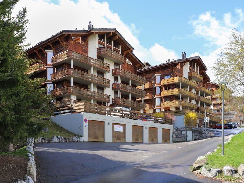 Nendaz 652