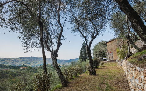 La Capannella: Lucht, Tafel, Meubilair, Dag, Eigendom, Fabriek, Berg, Azure, Stoel, Natuur