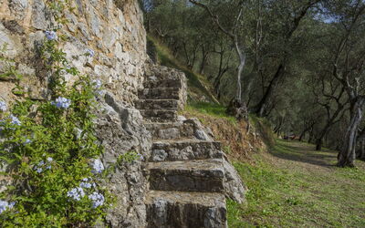 La Capannella