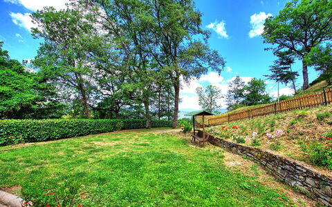 Villa Margherita: Natuur, Vegetation, Eigendom, Groen, Lucht, Natuurlijk Landschap, Onroerend Goed, Boom, Gras, Tuin