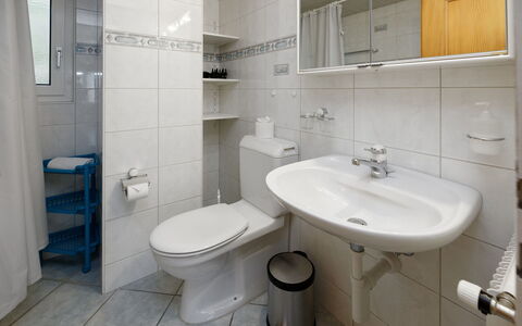 Grindelwald 104: Badkamer, Wastafel In De Badkamer, Wc Bril, Loodgieterswerkinrichting, Wastafel, Toilet, Flooring, Interieur Ontwerp, Verdieping, Kraan