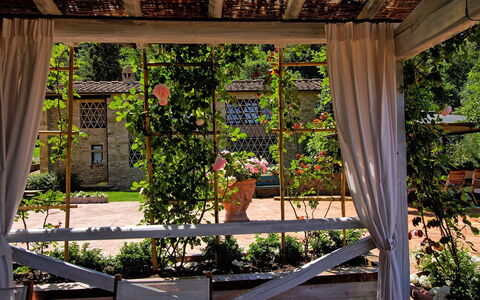Villa Petrognano: Eigendom, Pergola, Plantkunde, Huis, Boom, Gebouw, Architectuur, Fabriek, Tuin, Huis
