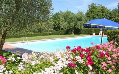 Rielli: Zwembad, Eigendom, Bloem, Tuin, Fabriek, Plantkunde, Boom, De Lente, Vrije Tijd, Onroerend Goed