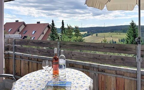 Schonach 125: Meubilair, Stoel, Buitenmeubels, Balkon, Buitentafel, Keuken En Eettafel, Schaduw, Kamerplant, Koffietafel, Patio