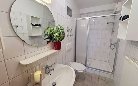 Schonach 125: Loodgieterswerkinrichting, Loodgieter, Kraan, Wastafel, Wastafel In De Badkamer, Badkamer, Hotel, Kamerplant