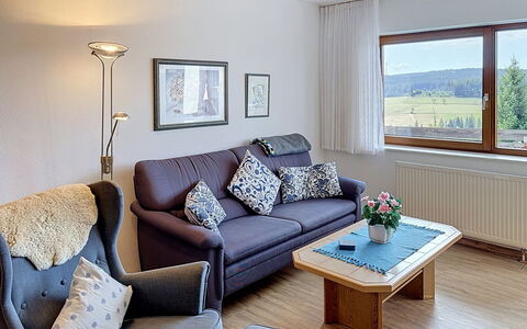 Accommodatie:&nbsp;Schwarzwaldblick 125.11